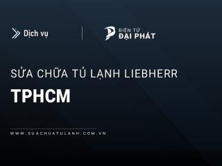 Sửa chữa tủ lạnh Liebherr tại TPHCM: Uy tín, Chuyên biệt